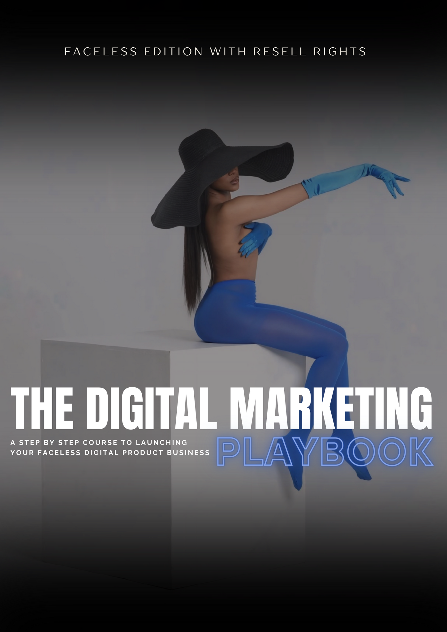 The Digital Marketing Playbook: Step By Step Course To Launching Your Digital Product Business